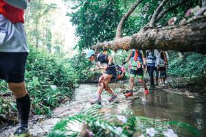 BIB: 
                            <button type="button" onclick="openModal(25452792)" class="btn btn-primary btn-sm float-right btn-popup" data-toggle="modal" data-target=".modal-high-quality">
                        <i class="fas fa-shopping-cart"></i> Add to Cart
                    </button>
                                            <button type="button" onclick="isThisMe(25452792, true)" class="btn btn-success btn-sm float-right btn-popup btn-isme hidden" data-toggle="tooltip" data-placement="bottom" title="นี่คือรูปของคุณใช่ไหม คลิกที่นี่เพื่อเอาเข้าอัลบั้ม">
                        <i class="fas fa-plus"></i> Add to album
                    </button>
                    <button type="button" onclick="isThisMe(25452792, false)" class="btn btn-warning btn-sm float-right btn-popup btn-isnotme hidden">
                        <i class="fas fa-ban"></i> Remove from album
                    </button>